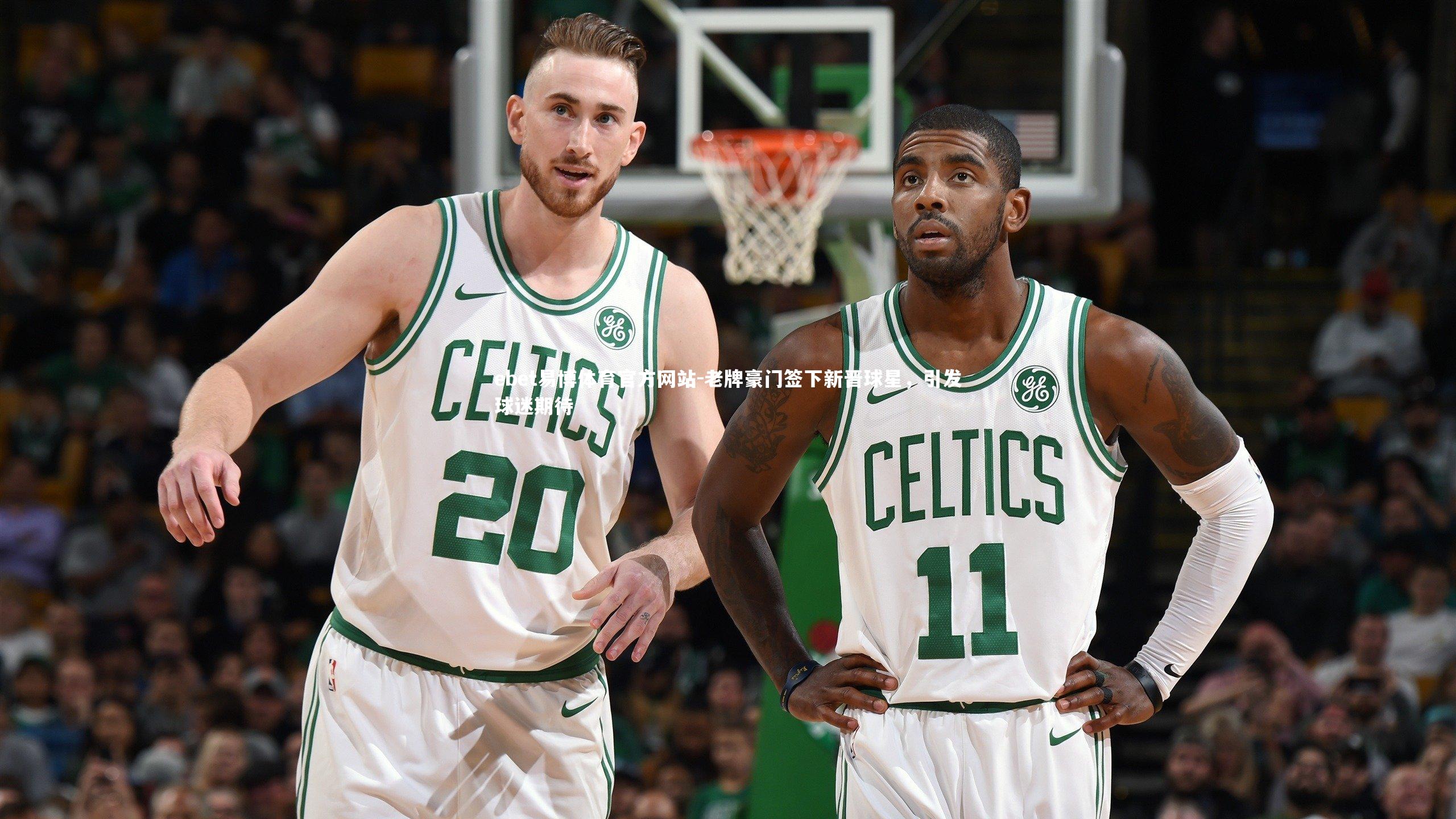 老牌豪门签下新晋球星，引发球迷期待