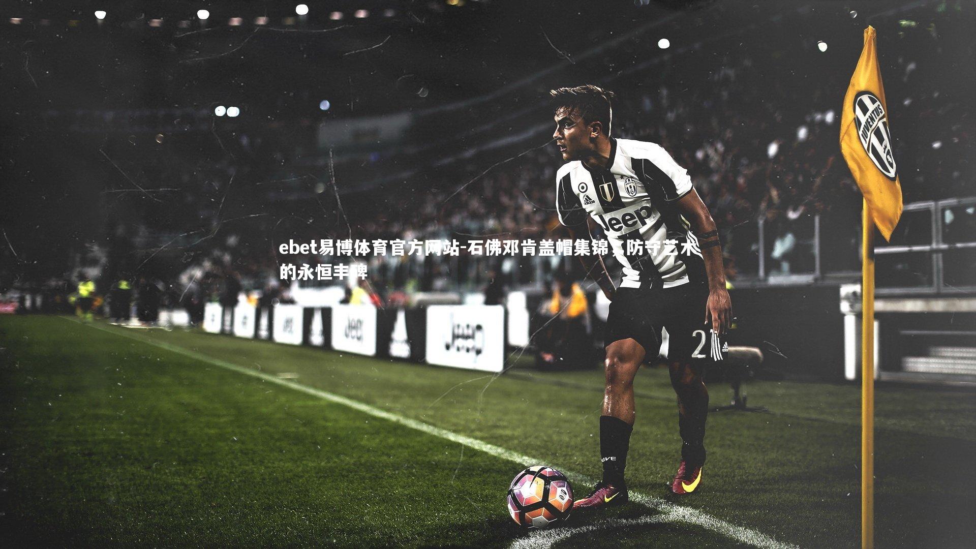 石佛邓肯盖帽集锦，防守艺术的永恒丰碑